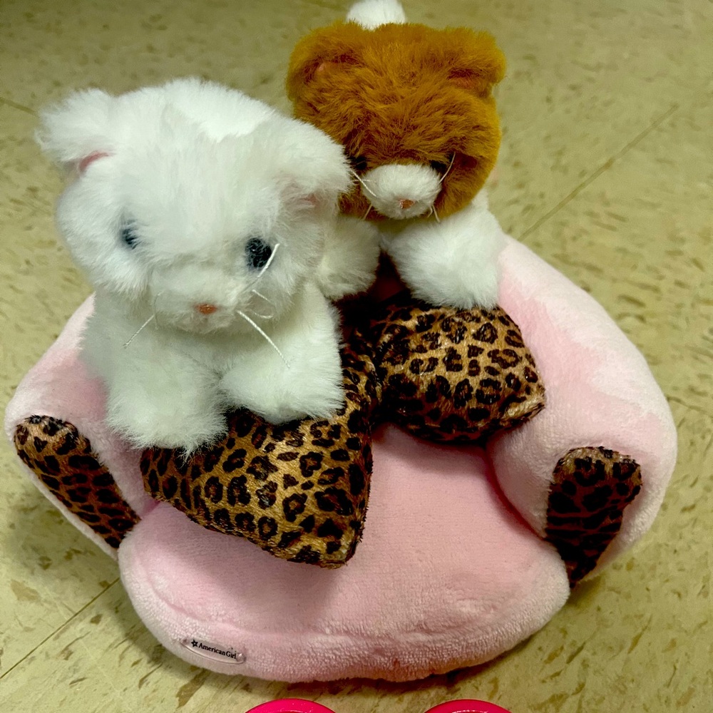 American Girl kittens, bowls and bed